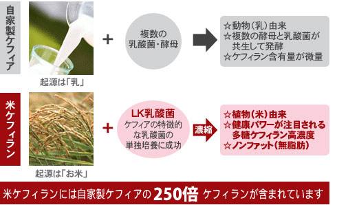 米ケフィラン