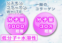 コラーゲン