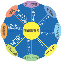 糖鎖