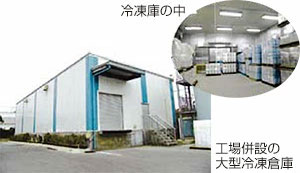 fucoidan_img03.jpg