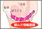 骨盤底筋