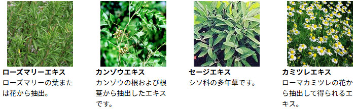和漢植物配合