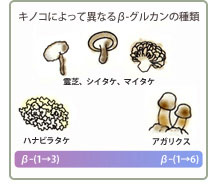 βグルカン