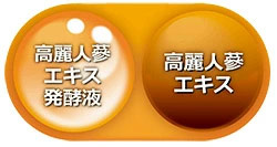 高麗人参