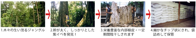紫イペ製造工程
