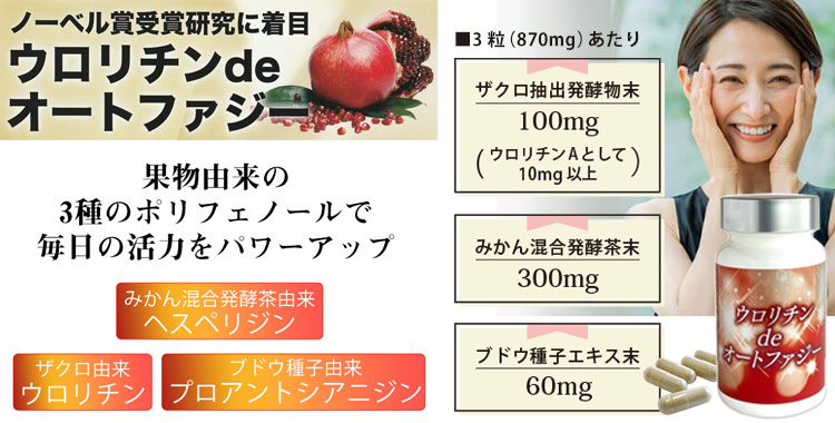 ウロリチンdeオートファジー