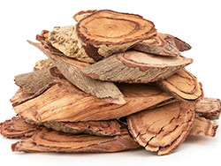 コタラヒムブツ