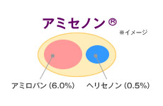 yamabusi_img02.jpg